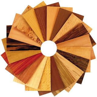 veneer color wheel sample
